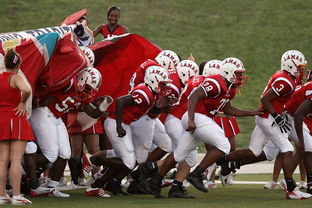 爱游戏app推荐-76人球队文化墙正式揭幕展示历史荣誉，76人队图案